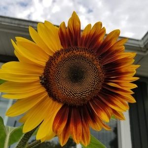 Meet your Posher, Candice